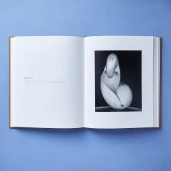 Elsie Green Edward Weston What's New