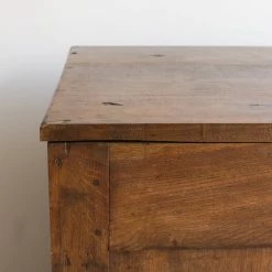 Elsie Green Vintage Pharmacy Counter What's New