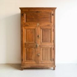 Elsie Green What's New Vintage Butcher's Cabinet