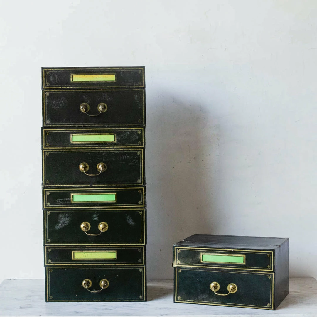 Brand new 🤩 Elsie Green What's New Napoleon III Notary’s Archival Storage Box 🎁 5 Elsie Green What's New Napoleon III Notary’s Archival Storage Box