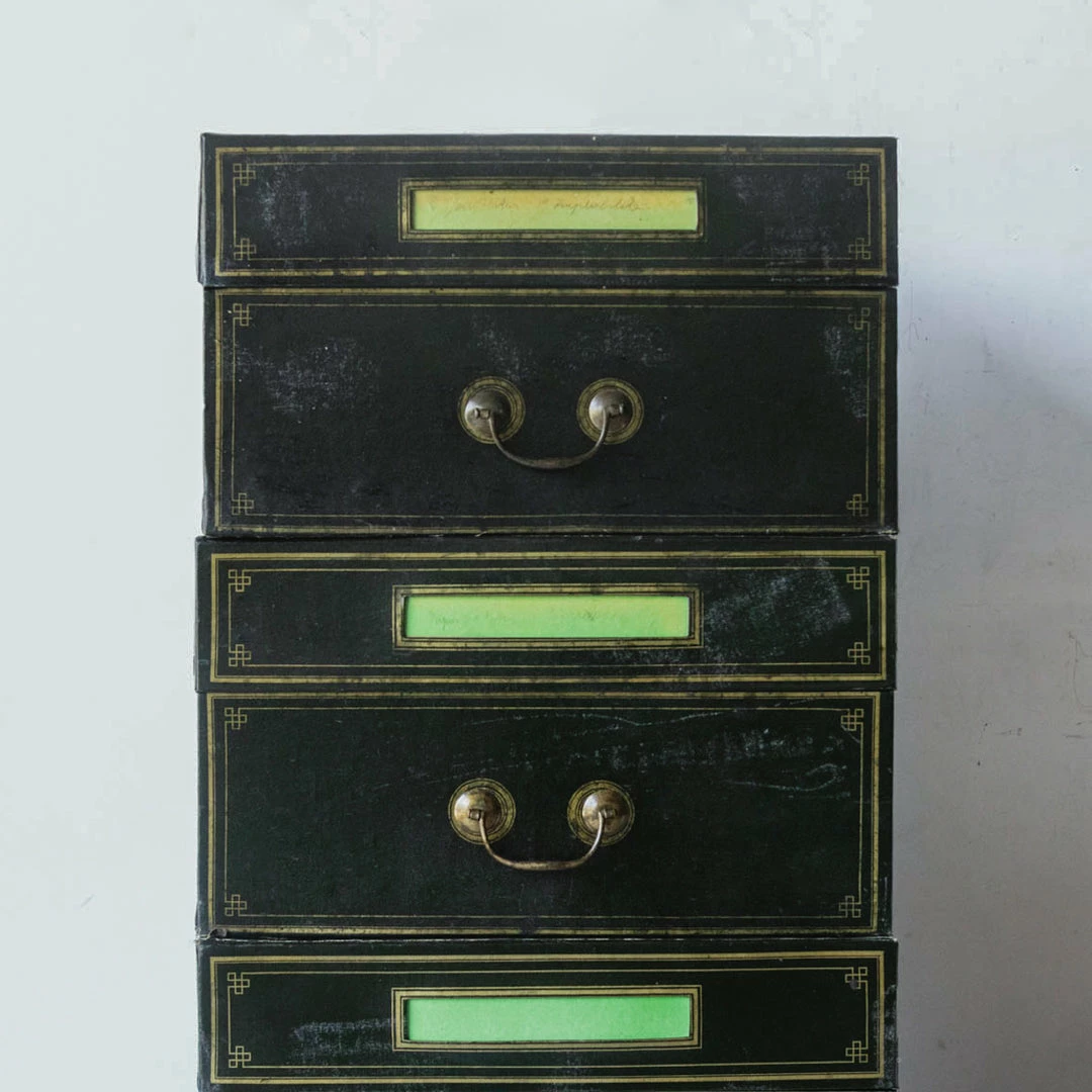 Brand new 🤩 Elsie Green What's New Napoleon III Notary’s Archival Storage Box 🎁 6 Elsie Green What's New Napoleon III Notary’s Archival Storage Box