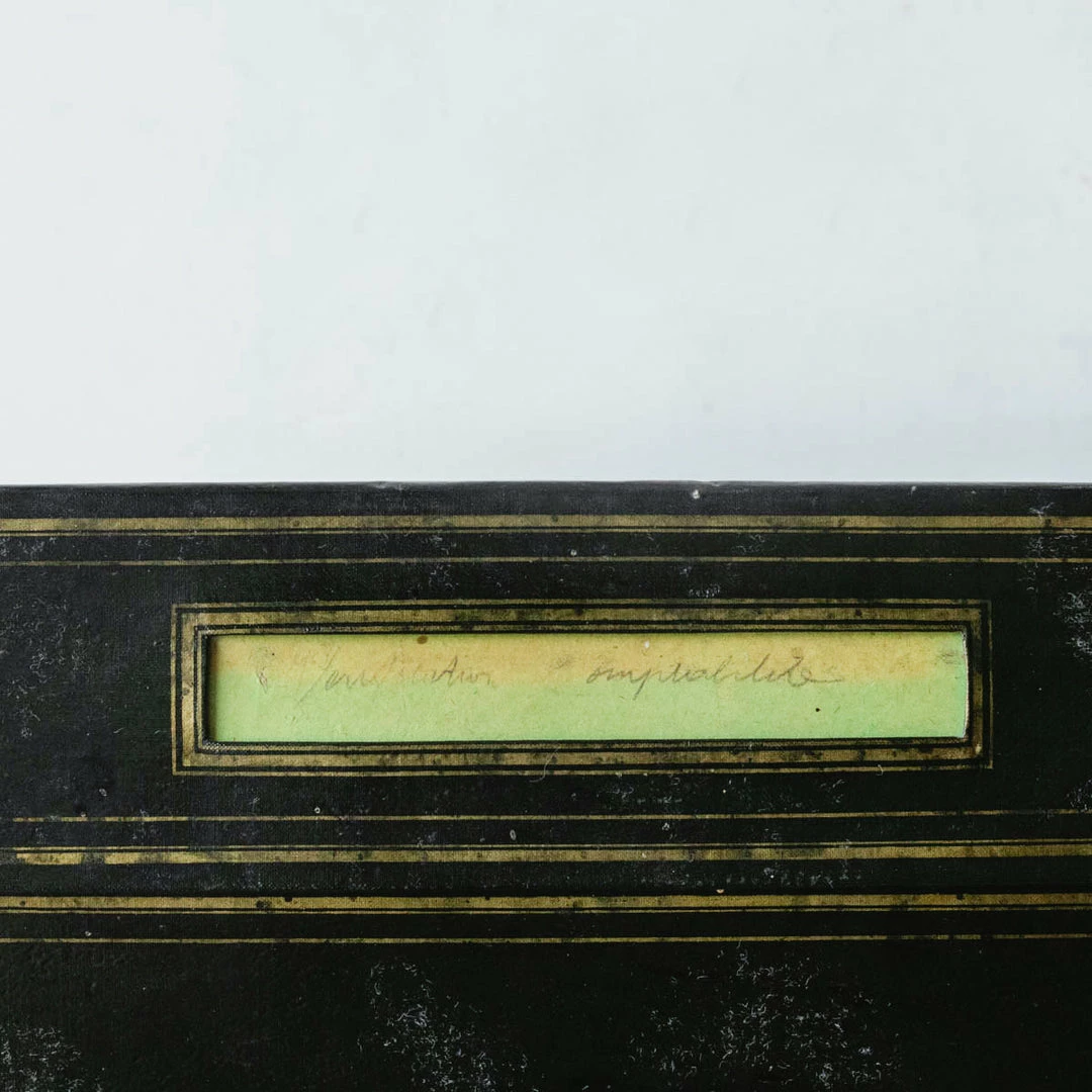 Brand new 🤩 Elsie Green What's New Napoleon III Notary’s Archival Storage Box 🎁 7 Elsie Green What's New Napoleon III Notary’s Archival Storage Box