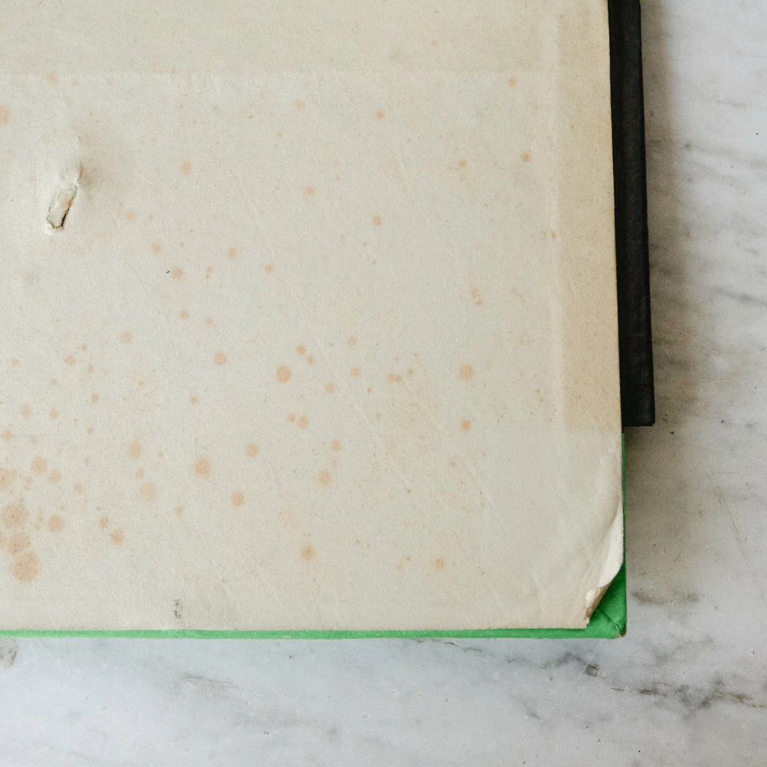 Brand new 🤩 Elsie Green What's New Napoleon III Notary’s Archival Storage Box 🎁 9 Elsie Green What's New Napoleon III Notary’s Archival Storage Box