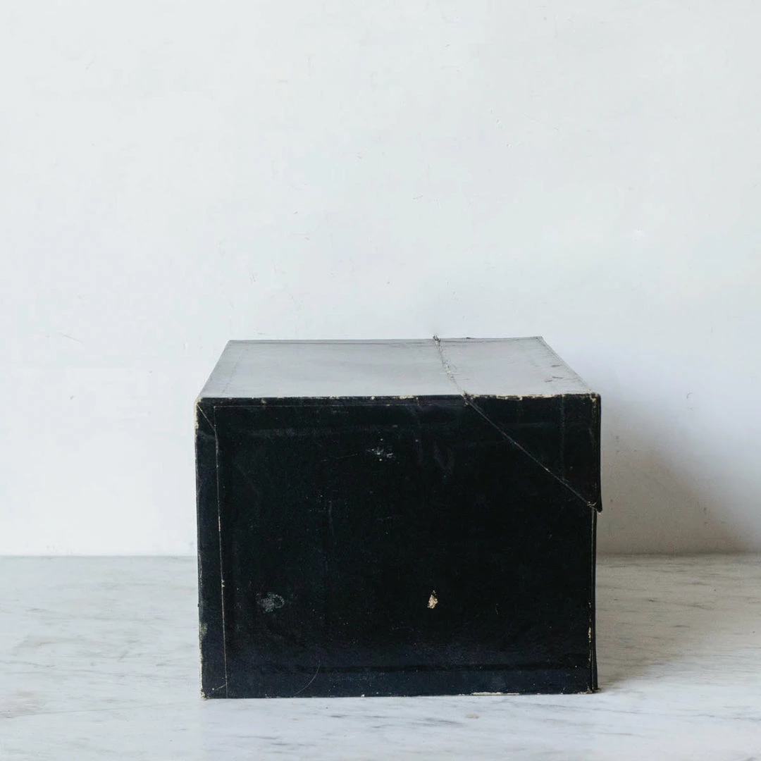 Brand new 🤩 Elsie Green What's New Napoleon III Notary’s Archival Storage Box 🎁 11 Elsie Green What's New Napoleon III Notary’s Archival Storage Box