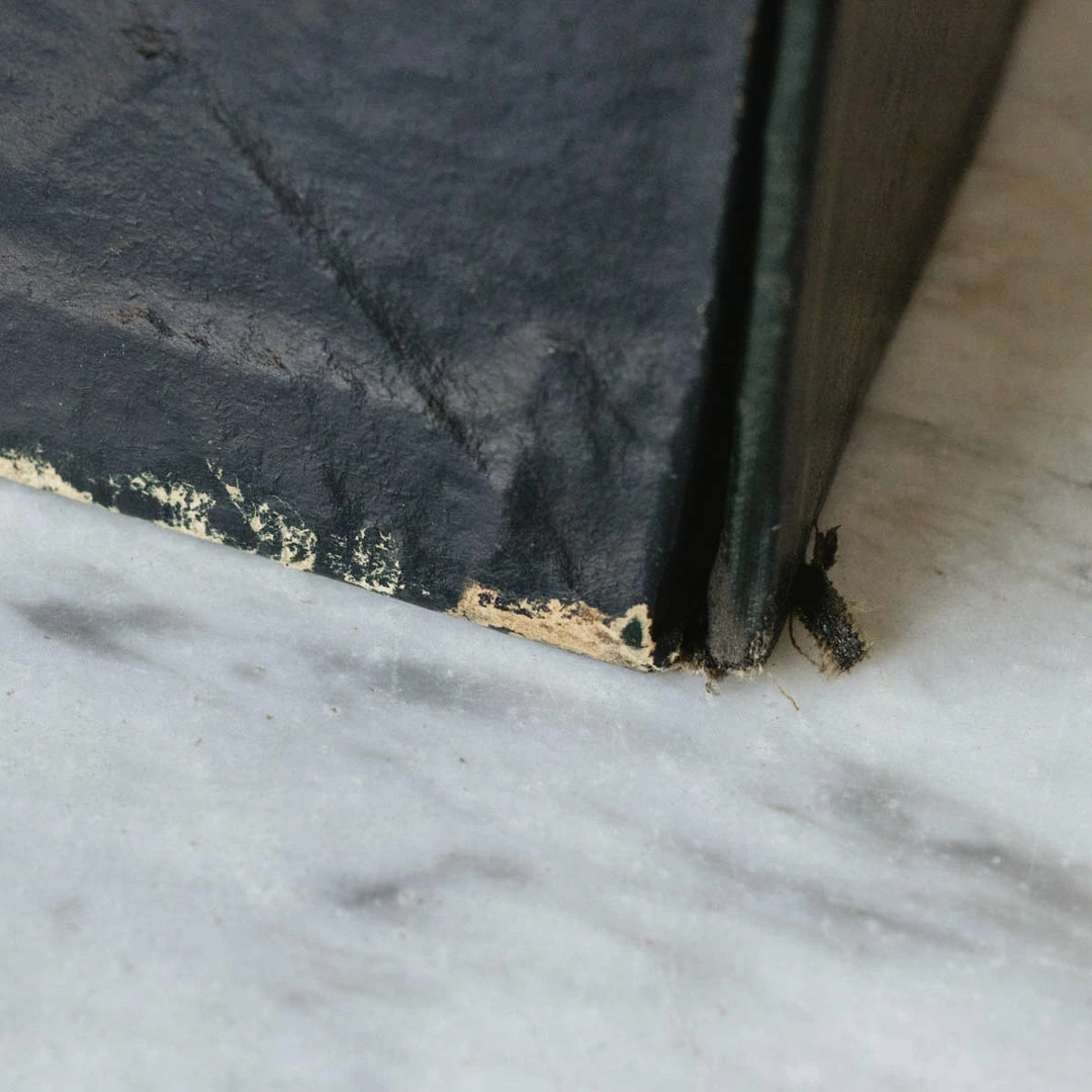 Brand new 🤩 Elsie Green What's New Napoleon III Notary’s Archival Storage Box 🎁 15 Elsie Green What's New Napoleon III Notary’s Archival Storage Box