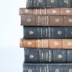 Elsie Green Leather Library Book What's New