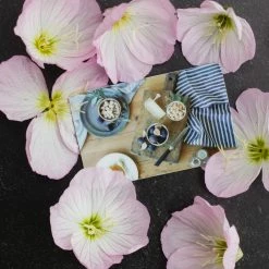 What's New Elsie Green Digital Gift Card