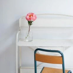 Elsie Green What's New White Metal Vanity