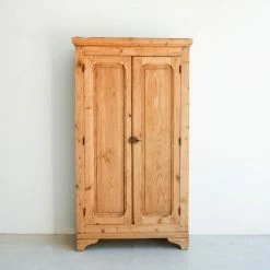 Elsie Green What's New Vintage Armoire
