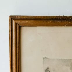 Elsie Green What's New Chateau De Bilstein Etching