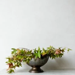 Bob & Bobette X What's New Vintage Silver Champagne Bowl