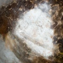 Bob & Bobette X What's New Vintage Silver Champagne Bowl