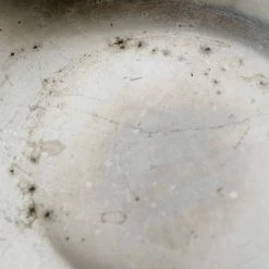 Bob & Bobette X What's New Vintage Silver Champagne Bowl