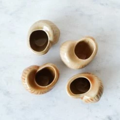 Elsie Green Ochre Stoneware Escargot Pot Set Of 10 What's New
