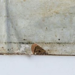 Elsie Green Le Pain Et Les Mandarines Still Life Oil Painting | Dated 1903 What's New