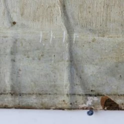 Elsie Green Le Pain Et Les Mandarines Still Life Oil Painting | Dated 1903 What's New