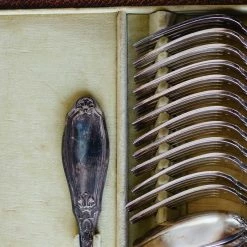 Elsie Green What's New French Flatware Set Of 37