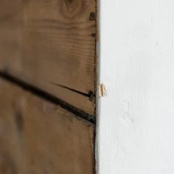 Elsie Green Painted School Cabinet