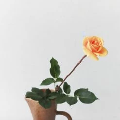 Didier What's New Vintage Stoneware Pitcher