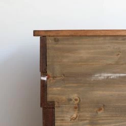 Elsie Green Vintage Oak Barber's Cabinet What's New