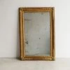 Elsie Green What's New Vintage Gold Rectangular Mirror
