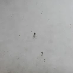 Elsie Green Grande Louis Philippe Mirror