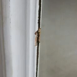 Deals ๐ฏ Elsie Green What's New Grande Louis Philippe Mirror ๐ 13 Elsie Green What's New Grande Louis Philippe Mirror