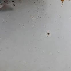 Elsie Green What's New Vintage Louis Philippe Mirror