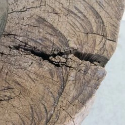 Didier Rustic Bois Table What's New