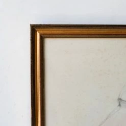 Elsie Green Le Portrait De Jacquotte Line Drawing What's New