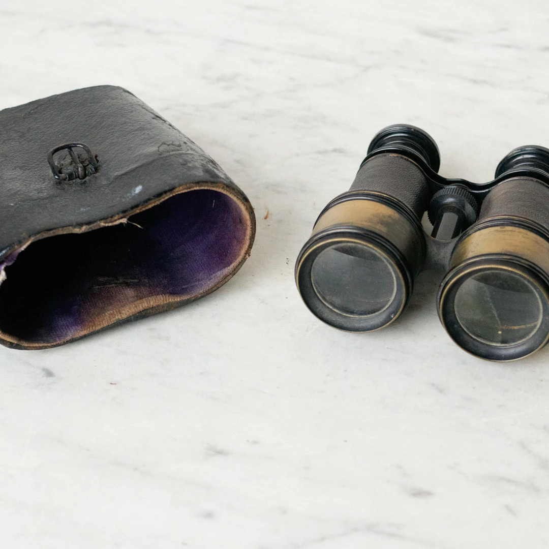 Buy โ Elsie Green Brass Binoculars What's New ๐งจ 3 Elsie Green Brass Binoculars What's New