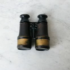 Elsie Green Brass Binoculars What's New