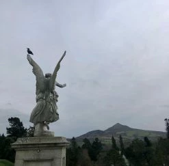 Elsie Green Powerscourt Printed Photograph What's New