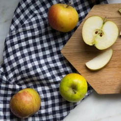 Elsie Green What's New The Perfect Napkin Set Of 4