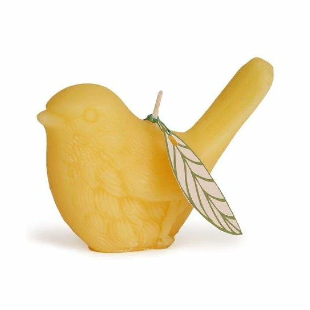 Best deal ๐ Elsie Green Beeswax Songbird Candle ๐ฅฐ 5 Elsie Green Beeswax Songbird Candle