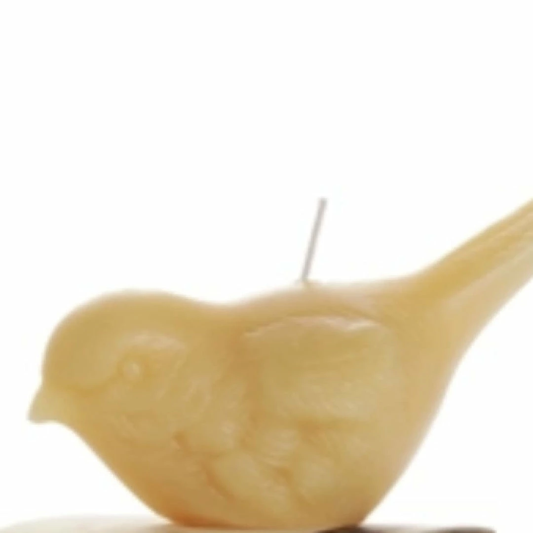 Best deal ๐ Elsie Green Beeswax Songbird Candle ๐ฅฐ 4 Elsie Green Beeswax Songbird Candle