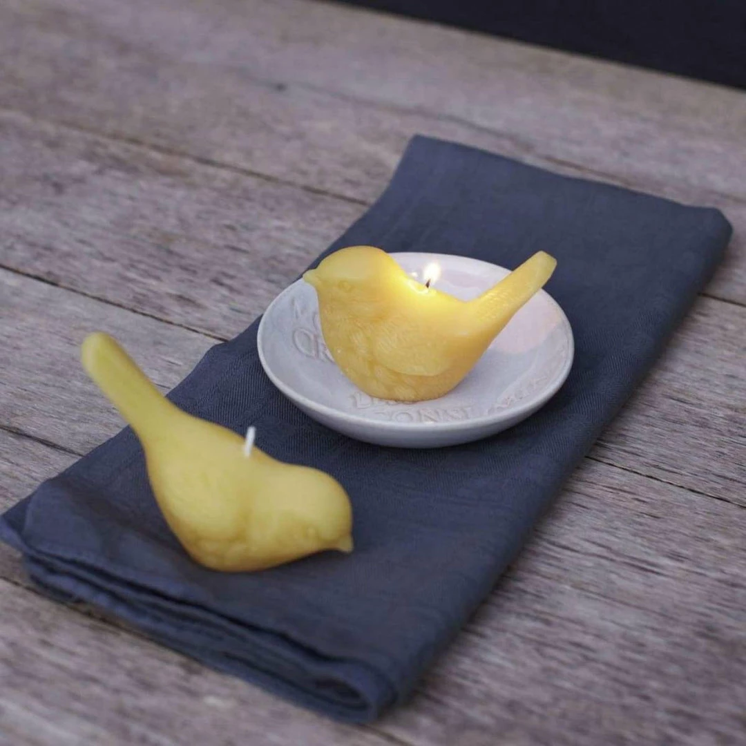 Best deal ๐ Elsie Green Beeswax Songbird Candle ๐ฅฐ 3 Elsie Green Beeswax Songbird Candle