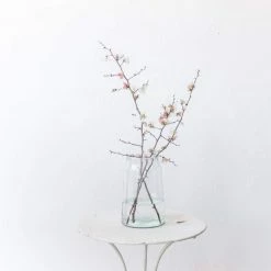 Elsie Green Blown Glass Tapered Pickling Jar Decor