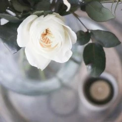 Elsie Green Bulb Pickling Jar Decor