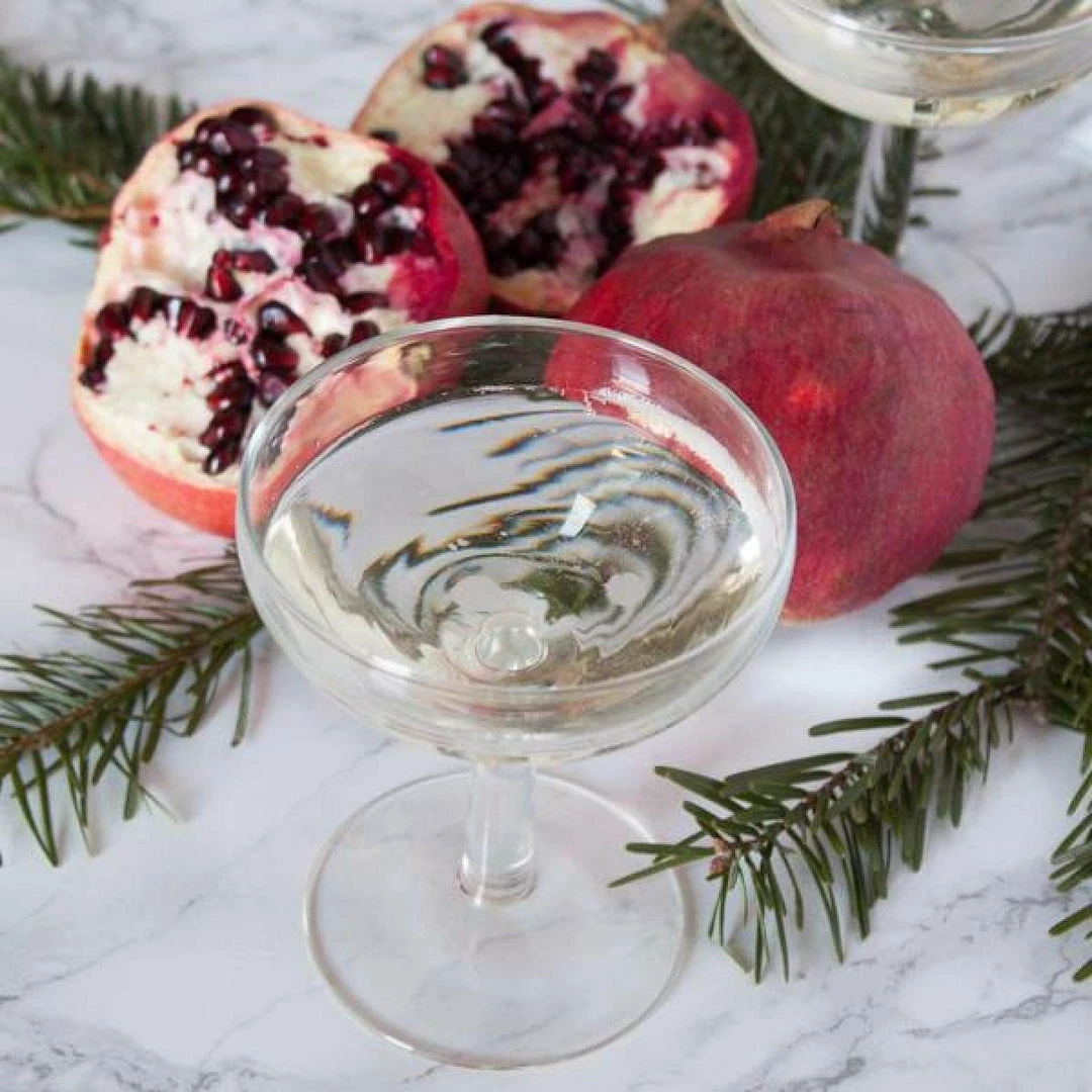 Top 10 ๐ Elsie Green Simple Champagne Coupe Set Of 6 The French Kitchen ๐ 6 Elsie Green Simple Champagne Coupe Set Of 6 The French Kitchen