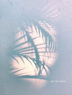 Elsie Green What's New My Tiny Atlas | Our World Through Your Eyes