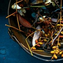 Elsie Green What's New Foraged Flora