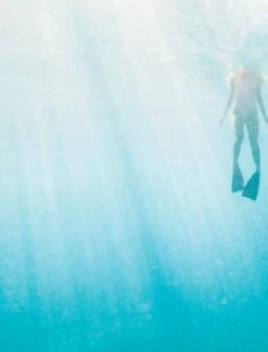 Elsie Green What's New My Tiny Atlas | Our World Through Your Eyes