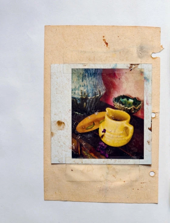 Best deal 😀 Elsie Green Francois Halard | A Visual Diary 🌟 12 Elsie Green Francois Halard | A Visual Diary