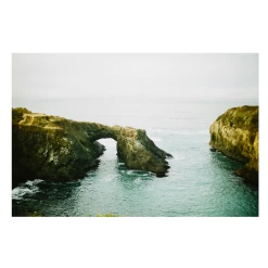 Elsie Green Breathe Deep Printed Photograph Art Galerie