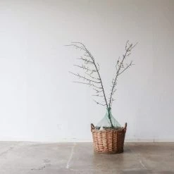 Grabotte Oil Bottle With Woven Basket