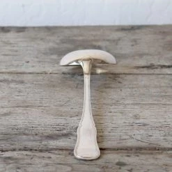 Elsie Green Set Of Flatware In Toile Box What's New