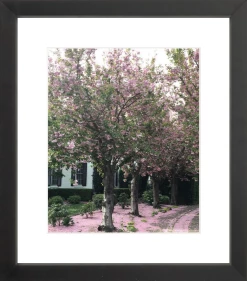 Elsie Green Sonoma In Bloom Printed Photograph