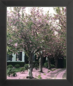 Elsie Green Sonoma In Bloom Printed Photograph