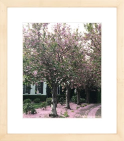Elsie Green Sonoma In Bloom Printed Photograph